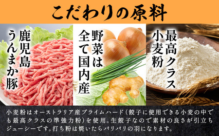 【隔月定期便×3回】鹿児島 うんまか豚 生餃子 108個 株式会社 寺師《お申し込み翌月から出荷》鹿児島県 さつま町 餃子 ギョウザ 焼き餃子 水餃子