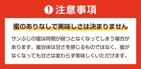 奥州市産りんご 赤い誘惑 「サンふじ」 約5kg(16~18玉) [AQ077]