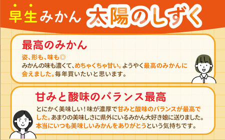 食べくらべ定期（太陽のしずく・今村温州みかん）[HCE003] みかん 果物