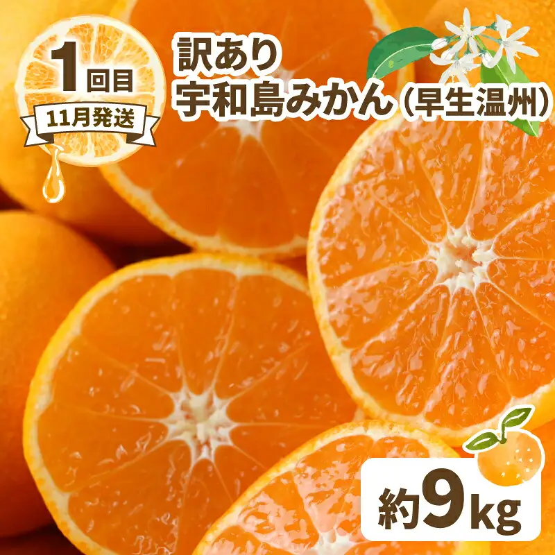 訳あり 人気柑橘 3回 定期便 マル南フルーツ 愛果28号 【紅まどんなと同品種】 まどんな せとか 早生温州 B030-106045