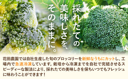 冷凍 ブロッコリー 冷凍 カット ブロッコリー 200g × 5袋 合計 1kg 花田農園 《11月下旬-3月末頃出荷》福岡県 鞍手町 冷凍 ぶろっこりー 野菜 ブロッコリー 惣菜 料理 お弁当 小分け パック 送料無料