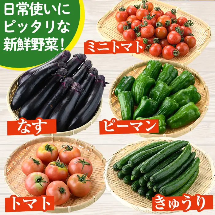 ＜数量限定・期間限定＞高千穂地区高冷地野菜詰め合わせ(5種) やさい きゅうり ピーマン トマト ミニトマト なす 茄子 冷蔵 季節 新鮮 旬 産地直送 【NK017】【宮崎県農業協同組合　高千穂地区本部】