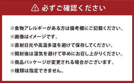 自家製 スコーン 詰め合わせ 100g × 6個入り フルーツ ナッツ バター 洋菓子 お菓子 おかし 焼き菓子 焼菓子 スイーツ 手作り セット