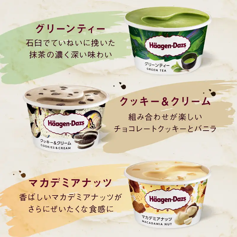 ハーゲンダッツ『定番ミニカップ12個』アイス アイスクリーム スイーツ 北海道_H0016-111