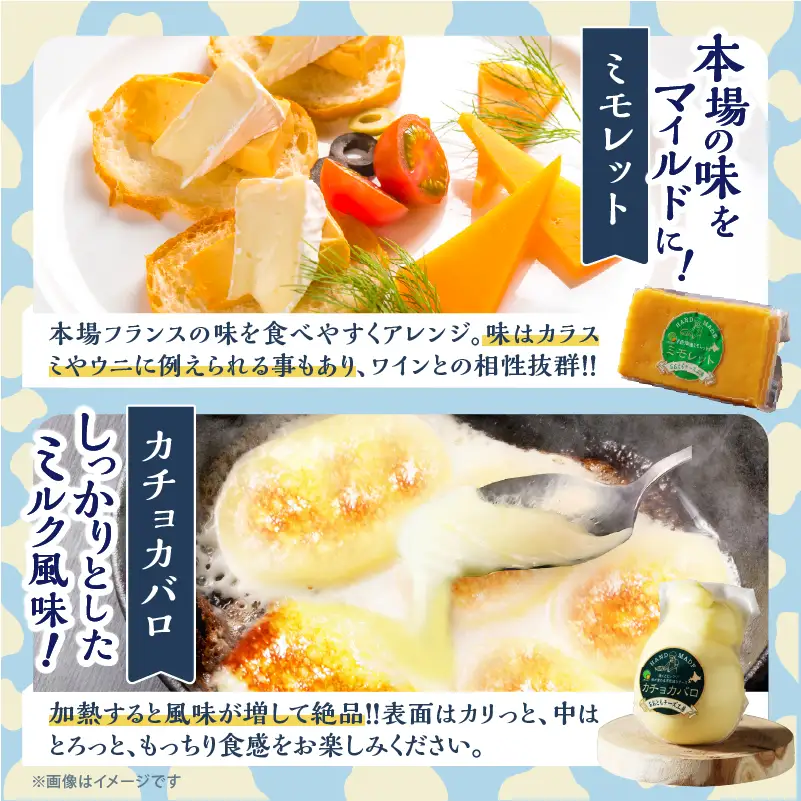 《人気No1》手造りチーズセット チーズ_H0003-102