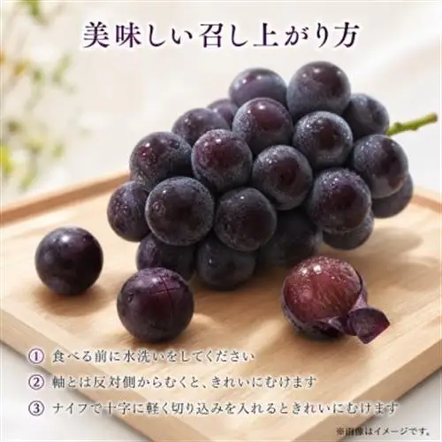 紀州和歌山産の巨峰ぶどう約2kg(5～7房)【配送不可地域：離島・北海道・沖縄県】【1527876】