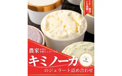 【キミノーカ選りすぐり】ジェラート8個セット【2月発送】 / ジェラート アイス アイスクリーム キミノーカ スイーツ 季節の 野菜 と 果物 使用 送料無料 夏 デザート【kmk001-2】