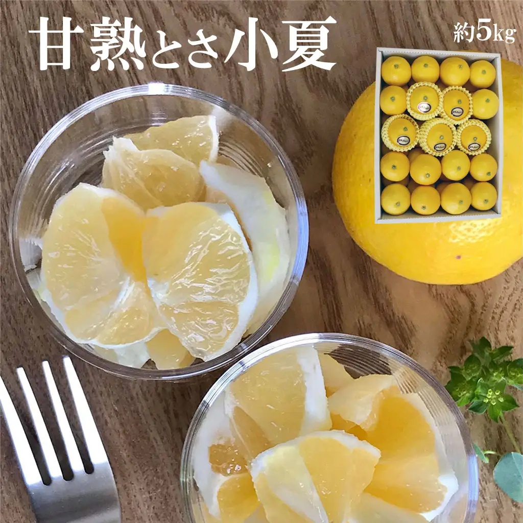 【先行予約】甘熟とさ小夏 特選品贈答用（S~Lサイズ）約5kg〈2027年4月上旬-2027年5月中旬頃発送〉高知県土佐市 【株式会社SHIRAKI】 [BQAI030]