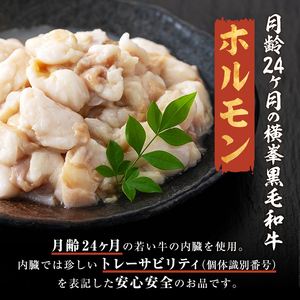月間25セット限定！【数量限定】鹿児島県志布志市産横峯黒毛和牛のモツ鍋セット(4～5人前) 鹿児島県産 国産 牛肉 牛 希少牛 もつ モツ もつ鍋 モツ鍋 ホルモン 鍋 a3-211