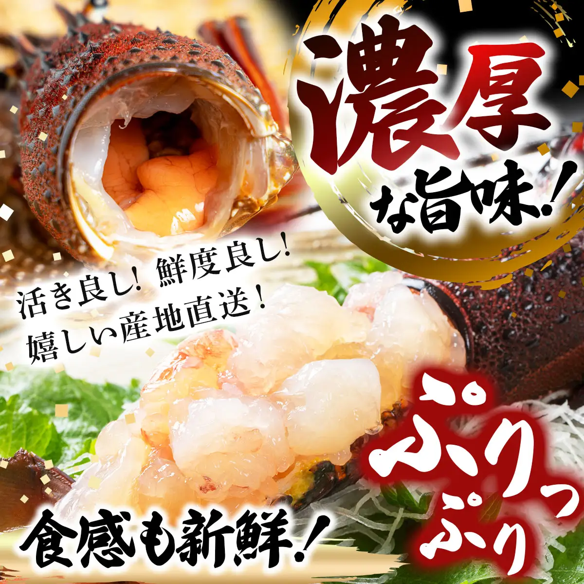 リピーター続出！伊勢海老 600～700g（1～3尾）