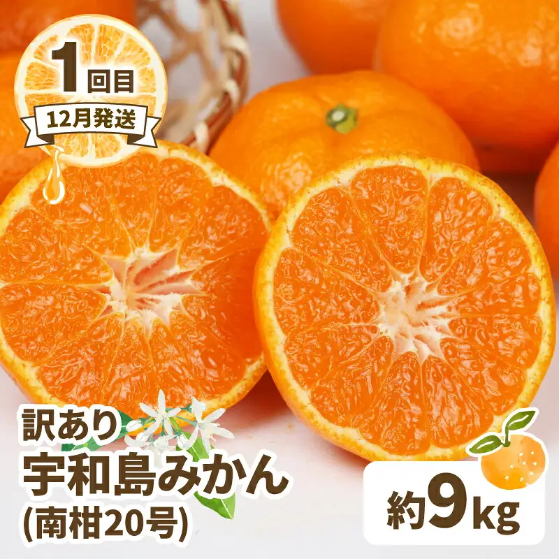 訳あり 人気 柑橘 4回定期便 マル南フルーツ 宇和島みかん 南柑20号 蜜柑 mikan みかん ポンカン 媛小春 不知火 定期便 果物 くだもの 愛媛県産 訳アリ 訳あり品 訳有り フルーツ 産地直送 国産 愛媛 宇和島 B040-106046