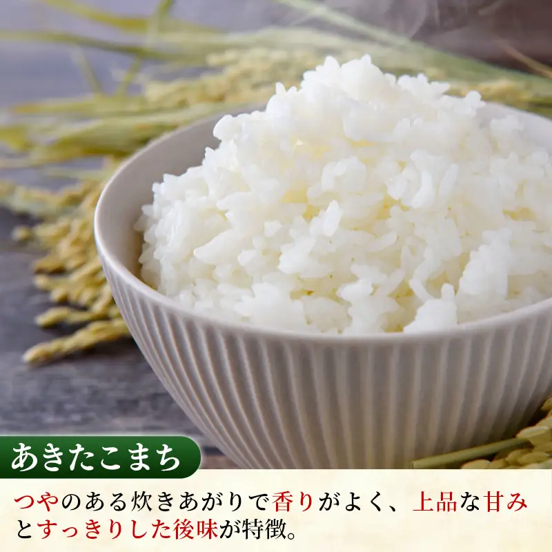 令和7年産 こしひかり あきたこまち (5kg×1袋ずつ) 計10kg 食べ比べ 中山産業 【価格変更AB】