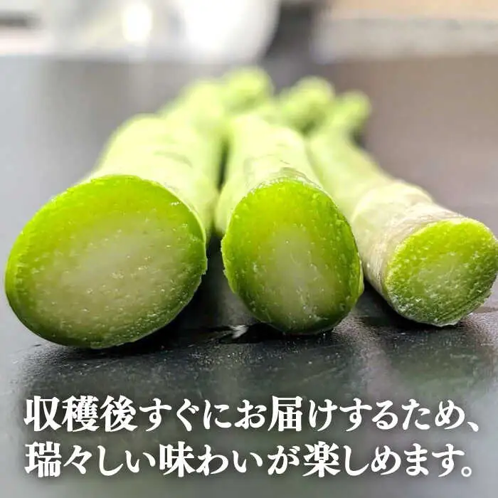 【アスパラガス専門農家が作る！】壱岐産アスパラガス1kg(MSサイズ)  ≪壱岐市≫【きたじま農園】国産 冷蔵配送 産地直送 朝採れ 新鮮 [JGI004]