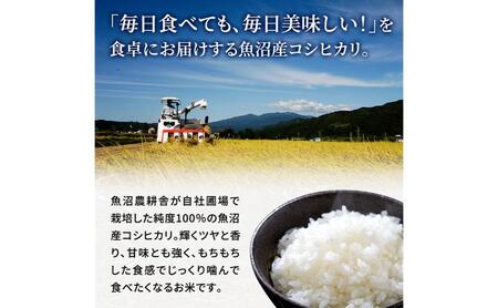 【令和8年産　新米先行受付】米農家自慢の 魚沼産 コシヒカリ（精米）10kg（5kg×2袋）白米 お米 こめ コメ 魚沼産コシヒカリ こしひかり 魚沼