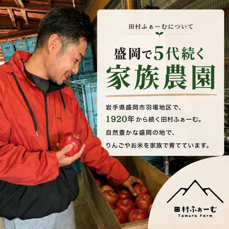 期間限定 訳あり シナノスイート 3kg(8~12玉) りんご シナノスイート 田村ふぁーむtamura005