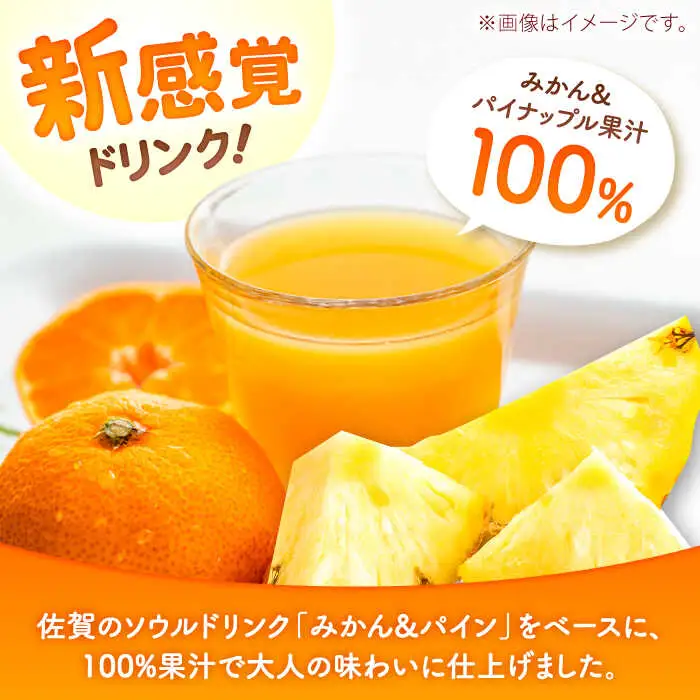 果汁100％ チルスムージーミチルン（330ml×12本） / みかんパイン オレンジ スムージー  / 佐賀県 / さが風土館季楽 [41AABE105]