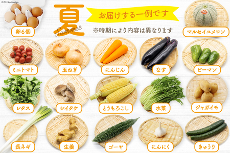 CH113 野菜 フルーツ 定期便6回 旬のおまかせセット 野菜 フルーツ13～14品目 卵6玉 ◎