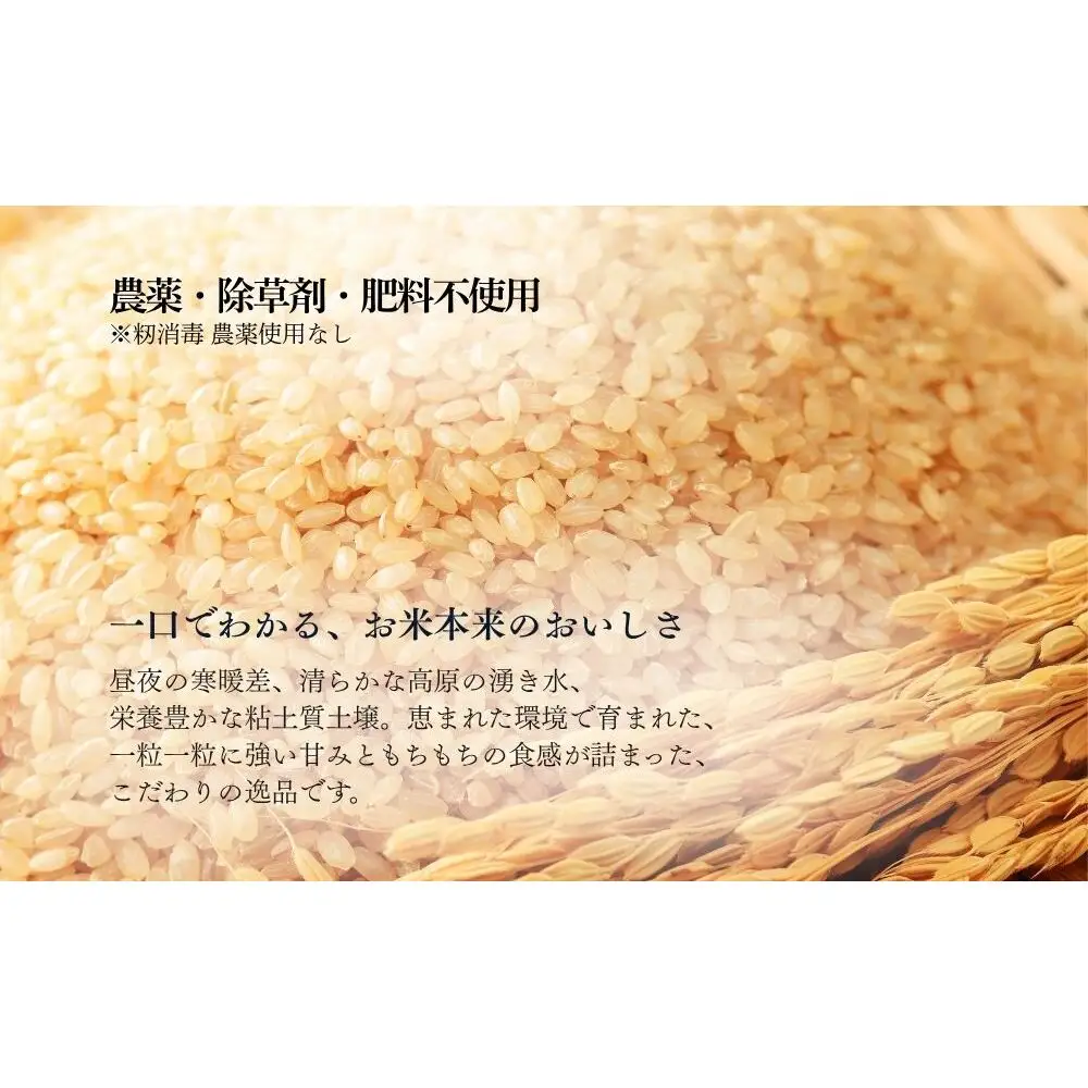 【令和8年産】自然栽培米 2kg｜選べる 玄米・分づき・白米｜単発／ 無農薬 米 お米 一等米 こめ コメ 国産 新米 玄米 農家やまおか 除草剤 肥料不使用 奈良県 宇陀市 ふるさと納税 
