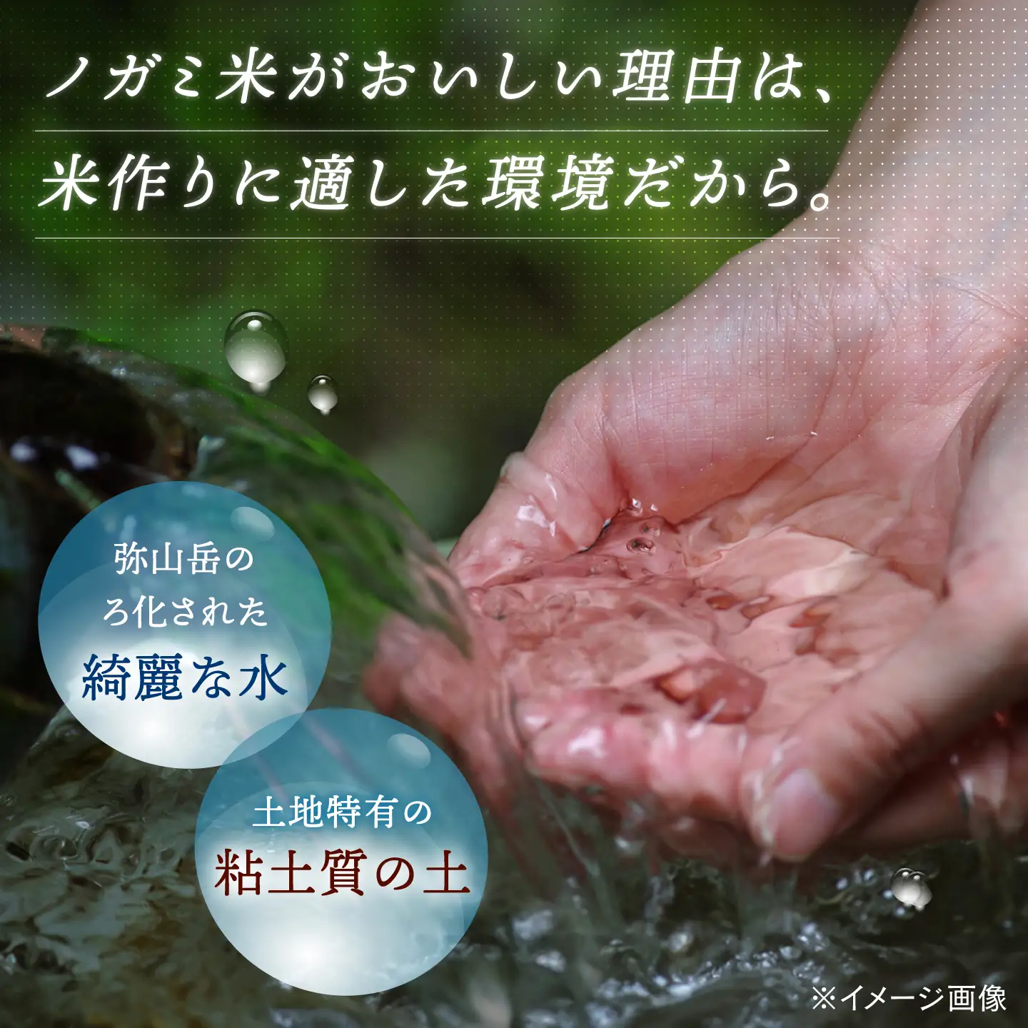 【 令和7年産】弥山岳の岩清水で育ったノガミファームの お米 白米 20kg 桂川町/NOGAMI FARM [ADAU007] 白米 お米 コメ こめ 小分け 農家 直送