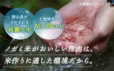 【 令和6年産】弥山岳の岩清水で育ったノガミファームの お米 玄米 2kg ▼ 玄米 米 コメ お米 2kg 農家 直送 桂川町/NOGAMI FARM [ADAU008]