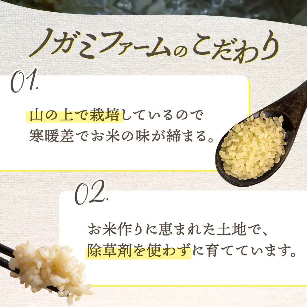 玄米 10kg [ADAU010] 玄米
