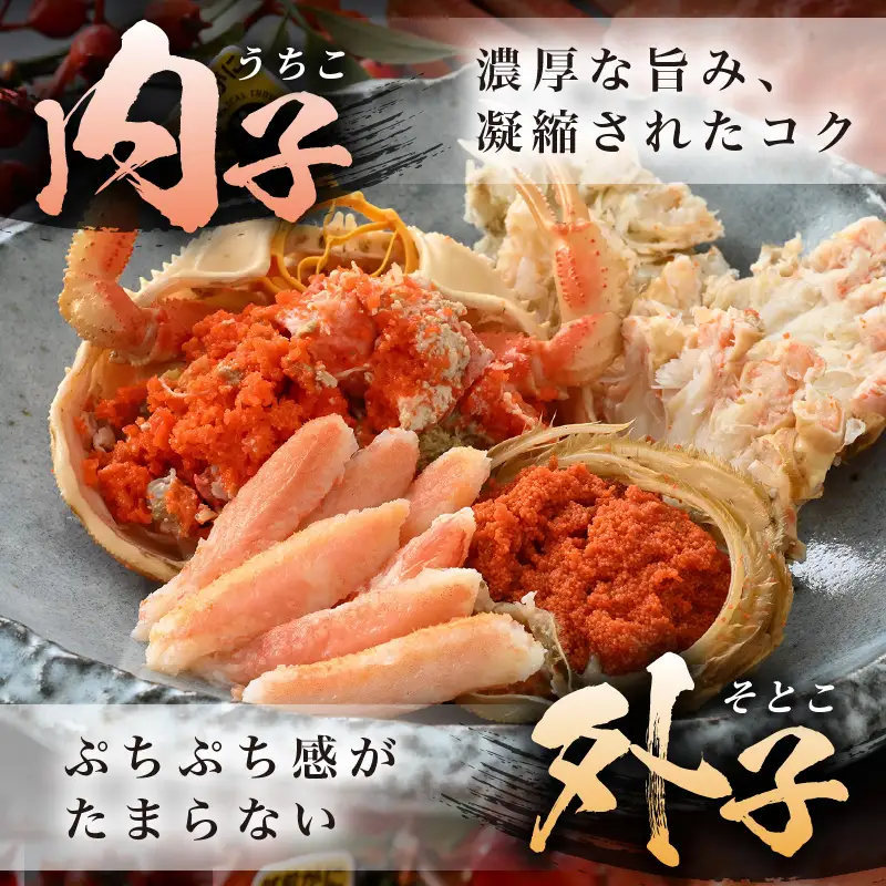 先行予約【冷蔵】 旬のセイコガニ 小 3杯 計300g以上（茹で前） 説明書付き 【2026年11月上旬以降順次発送予定】 ズワイガニ メス せいこがに  [m21-x001_11]