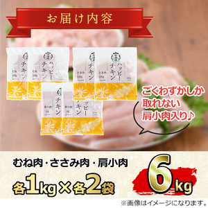 【0124806a-2611】＜2026年11月発送予定＞国産若鶏肉ヘルシーセット(合計6kg・ムネ、ささみ、肩小肉) 鶏肉 鳥肉 とり肉 むね肉 おかず 小分け 国産 【エビス】
