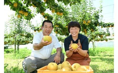 「にっこり」 梨 なし 5kg | 先行予約 数量限定 贈答用 なし 梨 果物 くだもの フルーツ ナシ 旬 にっこり 栃木県 上三川町 本田果樹園 ※2026年10月～発送