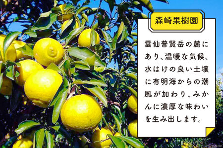 CD020 【令和9年1月中旬から順次発送】森崎果樹園 自慢の はるか 5kg