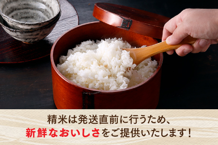 ZH262.【期間限定】立花山で育てた九州のブランド米・2.25キロ【一升五合（いっしょうはんじょう）】