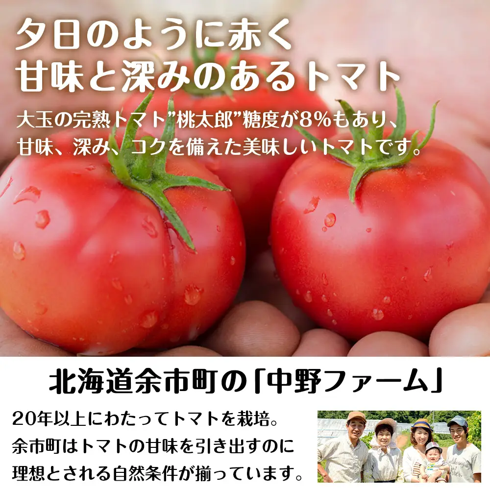 北海道 完熟トマト 酎ハイ 350ml 24本 酒 セイコーマート セコマ Secoma