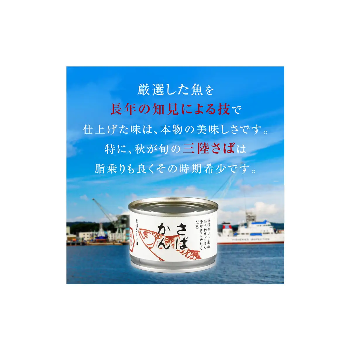 【3月配送】缶詰 さば缶詰 味噌煮 24缶 サバ缶 鯖缶 さば缶 鯖 味噌 国産 常温 長期保管 ローリングストック 備蓄 常温保存 防災 非常食 キャンプ 保存食 長期保存可 缶詰め セット 保存料 無添加 STIみやぎ