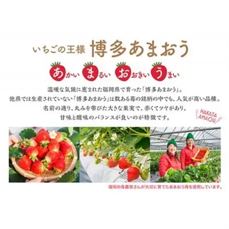 博多あまおうのこだわりアイス【AH-AB10N】【配送不可地域：離島】【1528690】