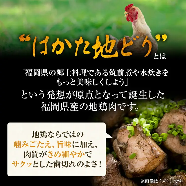 はかた地どり炭火焼セット500g（100g×5p） お取り寄せグルメ お取り寄せ お土産 九州 福岡土産 取り寄せ グルメ MEAT PLUS CP037