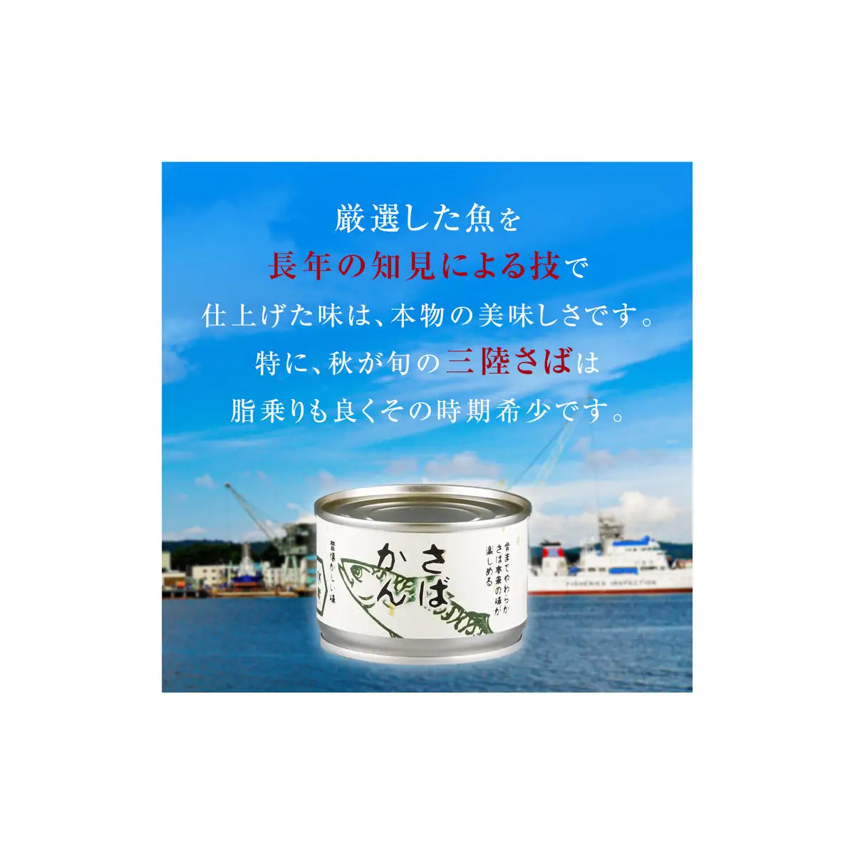 【2月配送】缶詰 さば缶詰 水煮 24缶 サバ缶 鯖缶 さば缶 鯖 国産 常温 長期保管