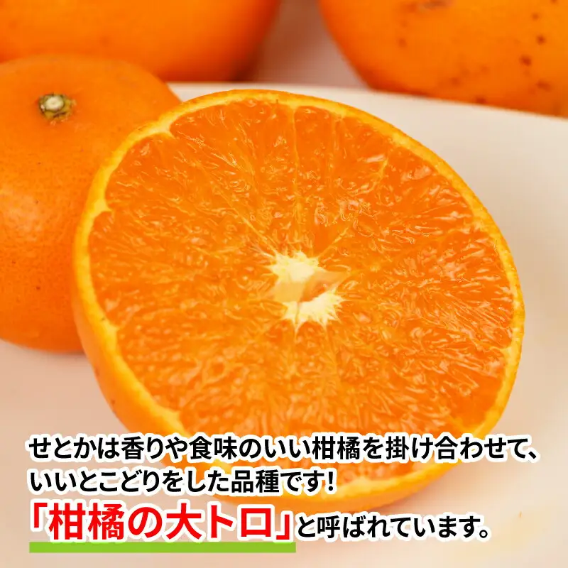訳あり せとか 5kg マル南フルーツ せとか B012-106023