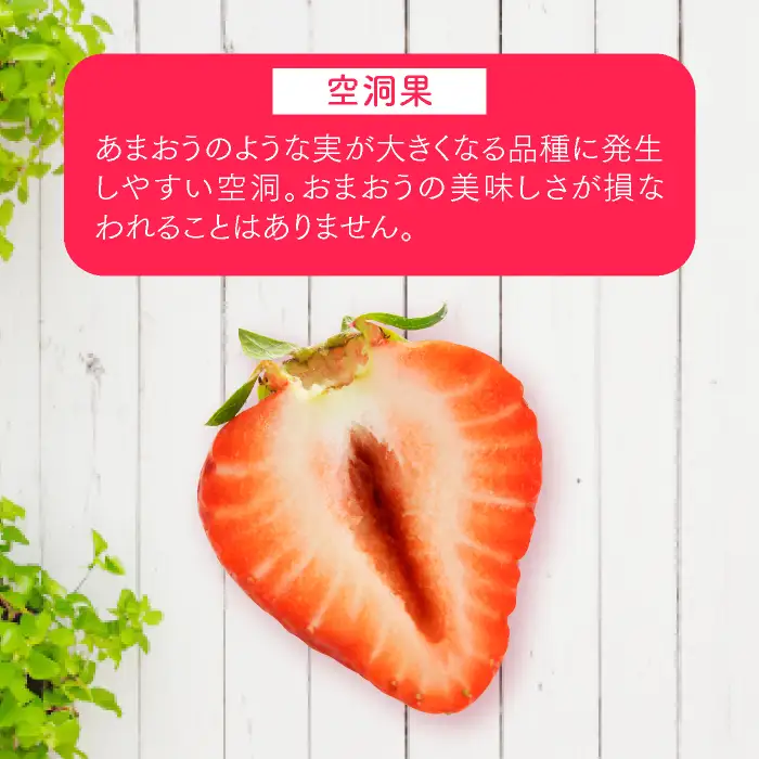 人気１位獲得謝礼品★限定品★博多あまおう約１，０８０g（先行受付／２０２７年２月以降発送）.A1609【あまおう】