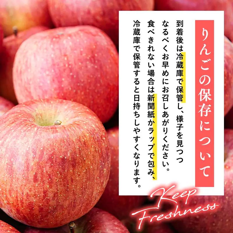 りんご 葉とらずサンふじ 訳あり 約5kg CA貯蔵 りんご