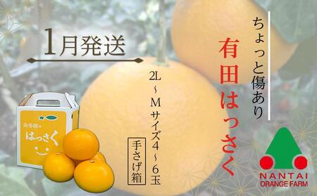 有田川町後継者応援定期便 1月発送 ちょっと傷あり 八朔（4～6玉） と 2月発送 天然醸造醤油＆特製だしぽん酢 【南泰園・カネイワ醤油】