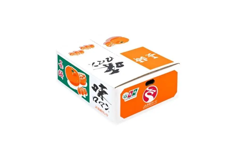 【糖度12度以上！】長崎県産 みかん 味ロマン 約5kg ＜期間限定／先行予約＞【2026年11月中旬以降順次発送】｜みかん 柑橘