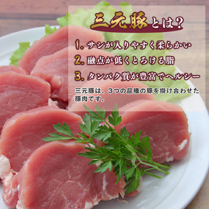 【ふるなびWEEK対象】三元豚 ヒレカツ 800g（20枚入り） とんかつ トンカツ 惣菜 おかず 冷凍食品 日東ベスト　007-G-NB007