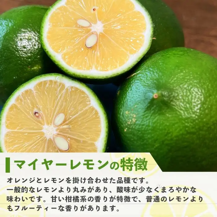 【先行予約】こだわりの青切りマイヤーレモン 約2kg (12～18個) 