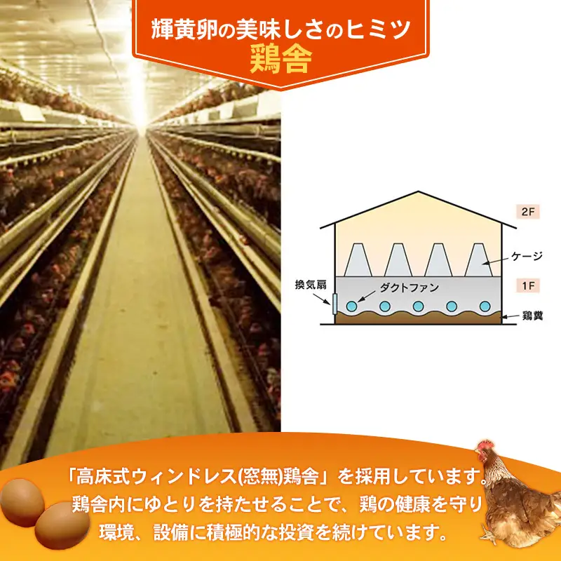 ヒラノのたまご 輝黄卵（きおうらん）72個（6個入り×12パック） 【 卵 たまご タマゴ 国産 新鮮 直送 輝黄卵 きおうらん 朝ごはん 卵かけごはん 福岡県 筑前町 AJ006】