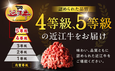 極上近江牛粗びきミンチ 800g と近江牛の牛脂ミンチ 200g のセット 近江牛専門店 万葉 株式会社びわこフード(近江牛専門店 万葉) 滋賀県 東近江市 A-B19 牛肉 近江牛 挽肉 ミンチ 粗挽き 牛脂 A4 A5ランク 和牛 料理 ハンバーグ 餃子