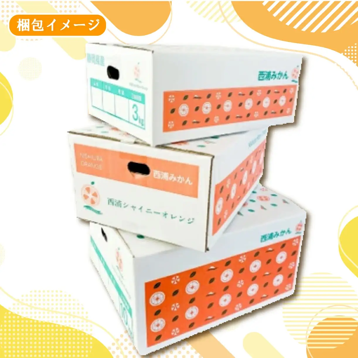 【予約受付】 由良 みかん 約3kg 産地直送 柑橘 みかん 優品 中玉 フルーツ 果物                                                                                                                                                                                                                                