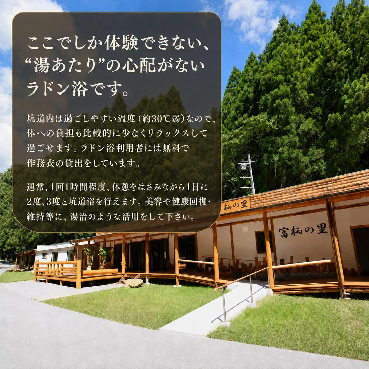 日本で唯一の坑道ラドン浴基本コースB【坑道浴 癒し リフレッシュ リラックス 利用券 お食事付き】