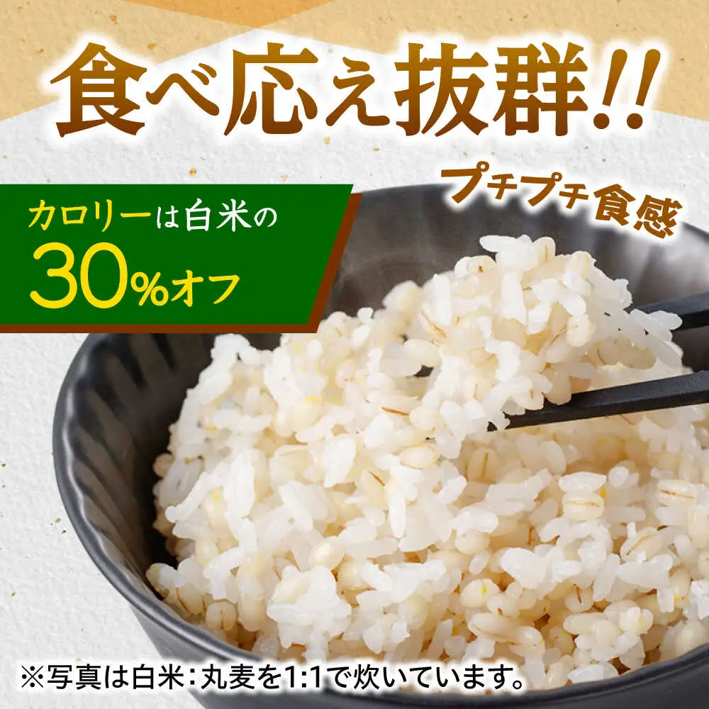 もち麦よりも『ぷりっ』とした弾力 【12回定期便】長崎県産 丸麦 10kg / 麦 むぎ 雑穀 雑穀米 麦ごはん 麦飯 麦みそ 食物繊維 長崎県産 米 こめ コメ ※ / 諫早市 / 有限会社伊東精麦 [AHBU008]