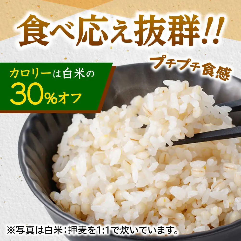 押麦「長崎御島」 1kg×10袋 計10kg / 麦 むぎ 押麦 はだか麦 麦味噌 雑穀 雑穀米 食物繊維 長崎県産 米 こめ コメ ※ / 諫早市 / 有限会社伊東精麦 [AHBU009]
