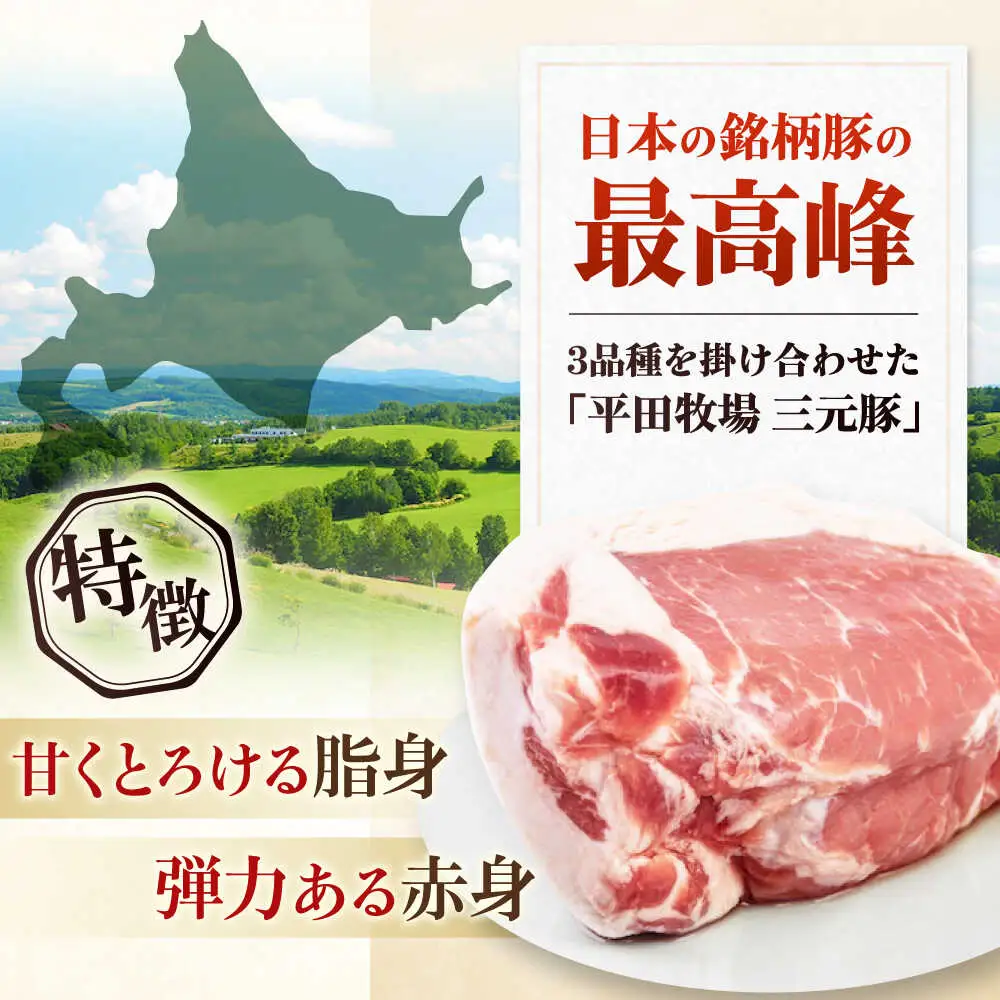 平田牧場 ロース ブロック 600g 角煮 豚肉 加工品  [AJAP070]