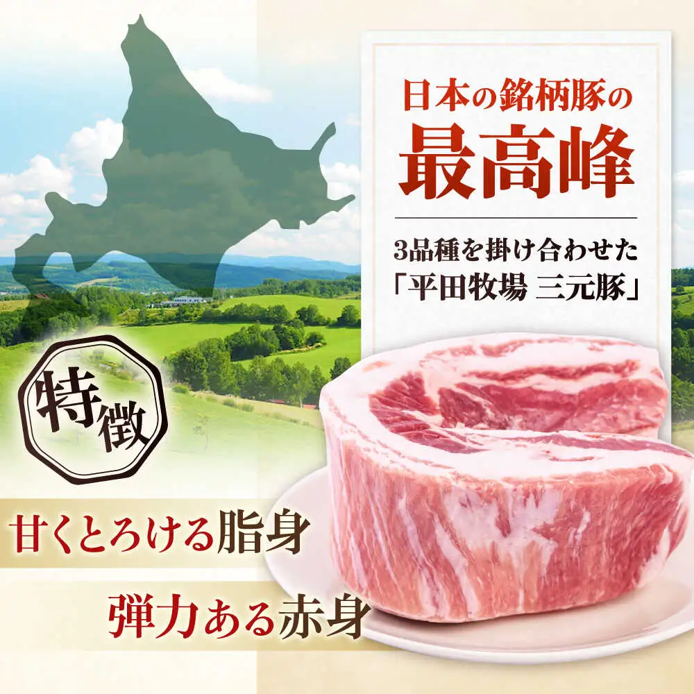 平田牧場 バラ ブロック 600g  焼肉 バラ 豚肉 冷凍 家族 [AJAP072]